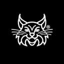 Hidden logo